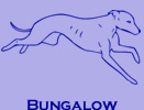 Go Dog Go 3 Week Board and Train - Bungalow Boarding Facility