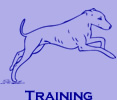 Go Dog Go 3 Week Board and Train - Dog Training